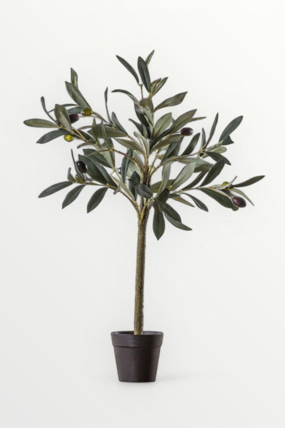 Potted artificial olive tree on a white background
