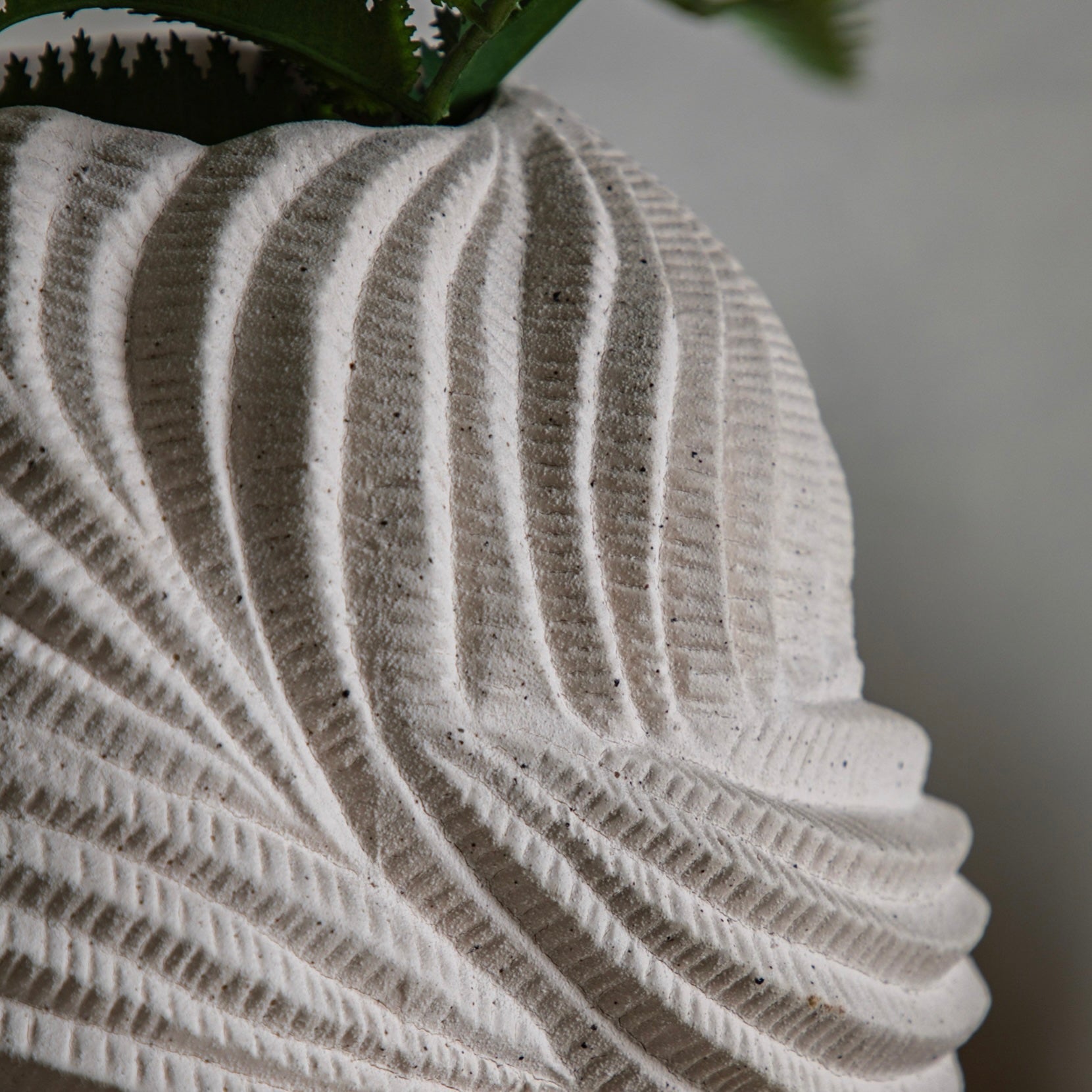 Close-up of a textured stone vase with a plant