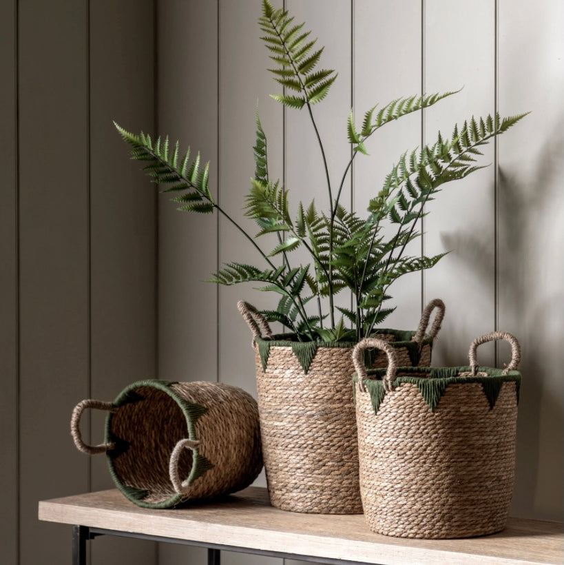 Three woven baskets with plants on a wooden surface against a wooden panel wall.