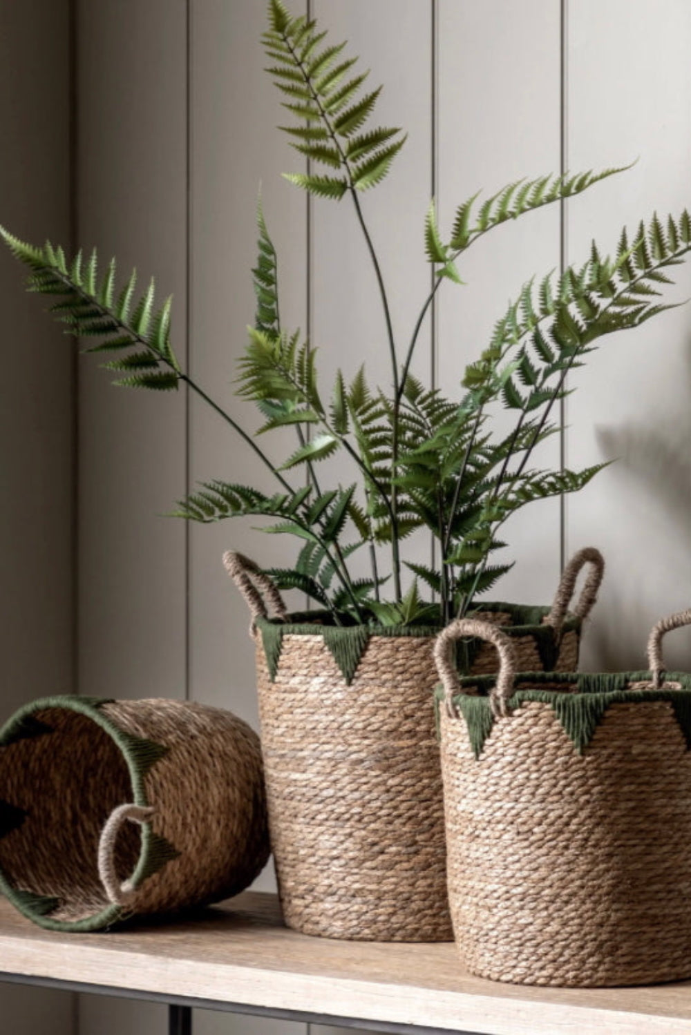 Potted fern plants in woven baskets on a wooden surface with a neutral background