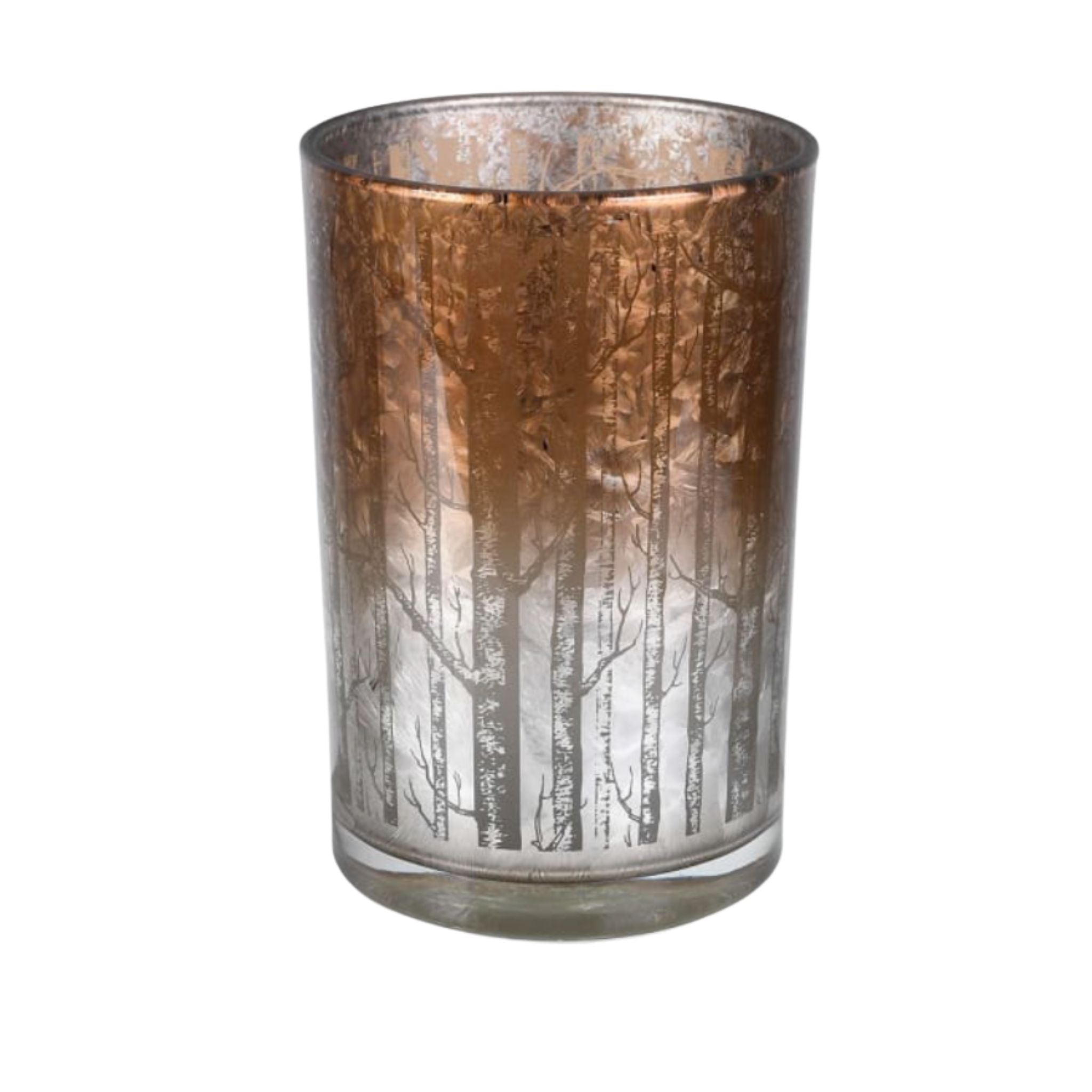 A medium silverbirch tree trunk hurricane candle holder