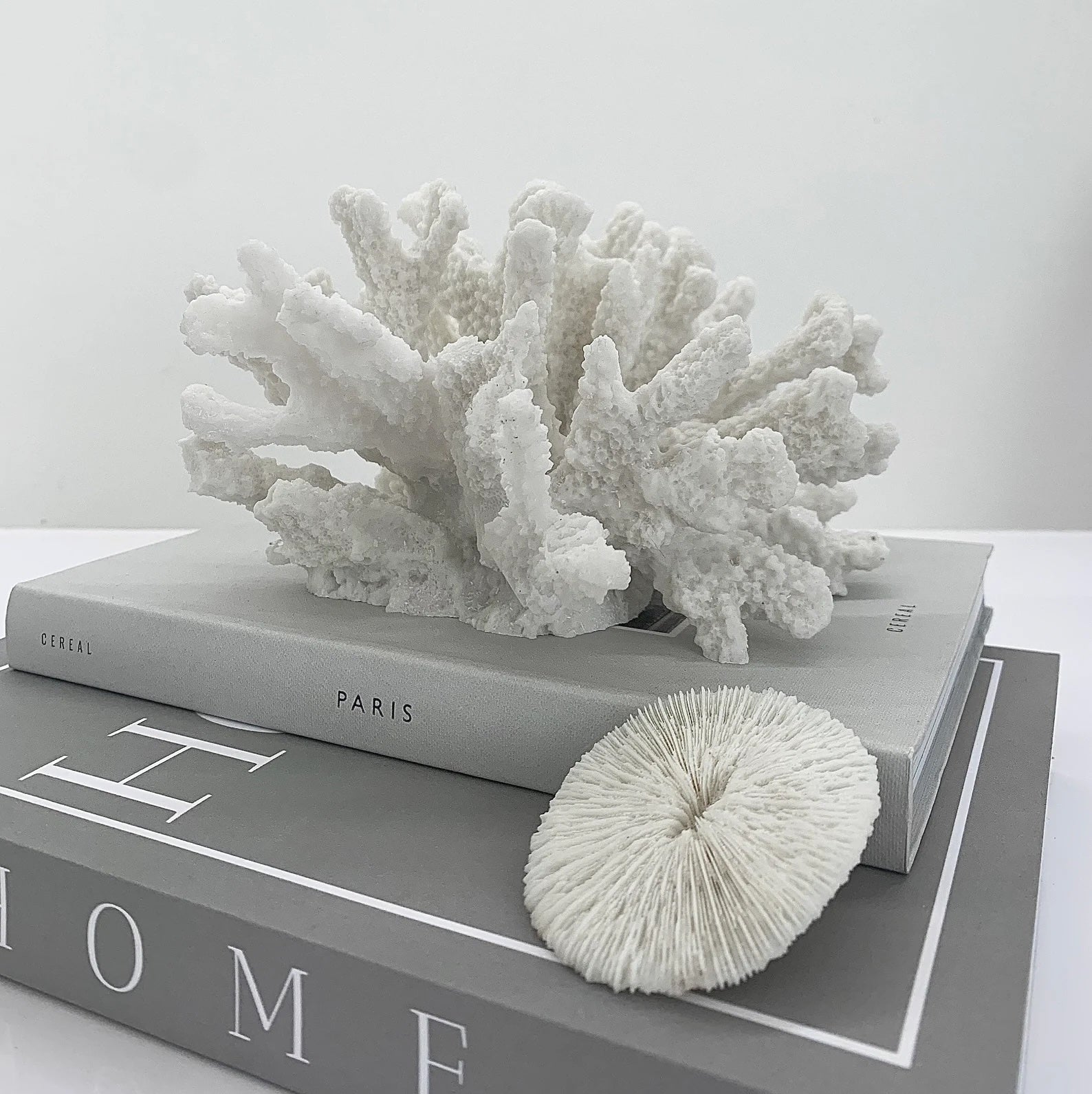 Decorative coral pieces on books with a plain background, Elm & Grey.