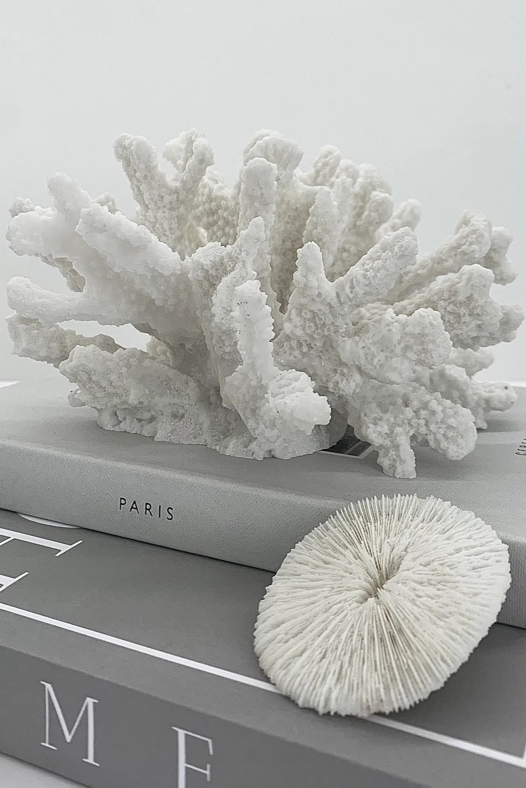 Decorative small white coral pieces on grey books with 'Paris' text, Elm & Grey.