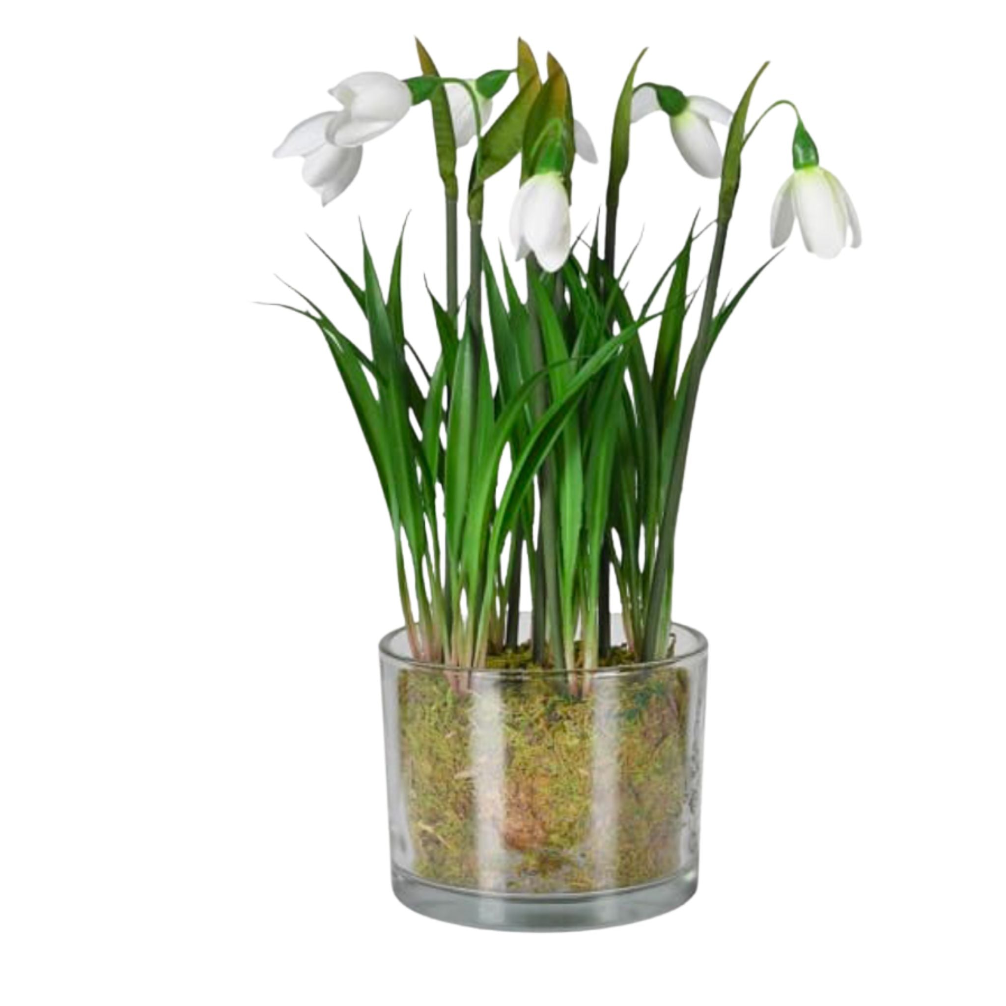 A graceful faux snowdrop in a textured glass pot