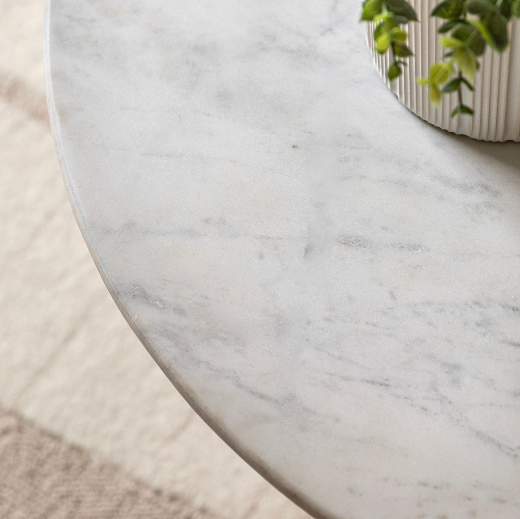 Close-up of a marble coffee table with a plant on a light-colored rug.