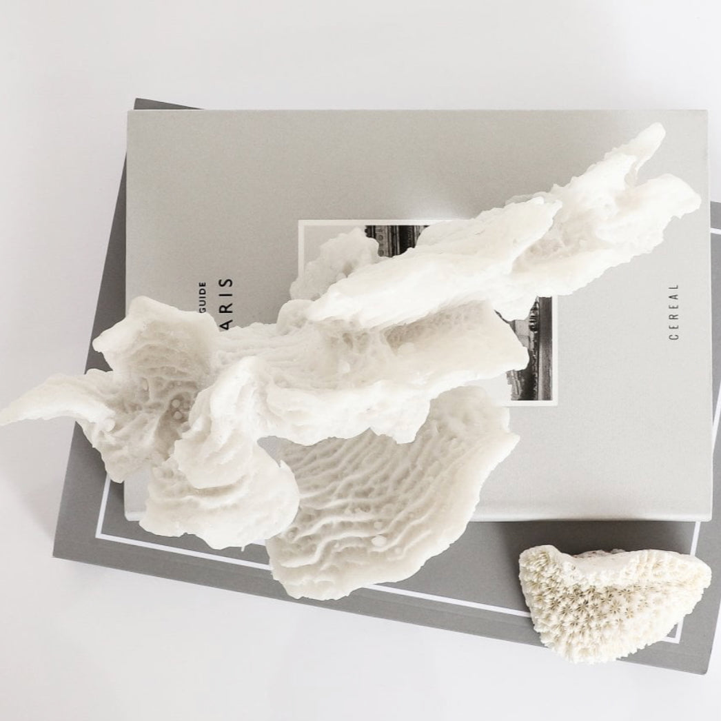 White lettuce leaf coral sculpture on a grey book, Elm & Grey.