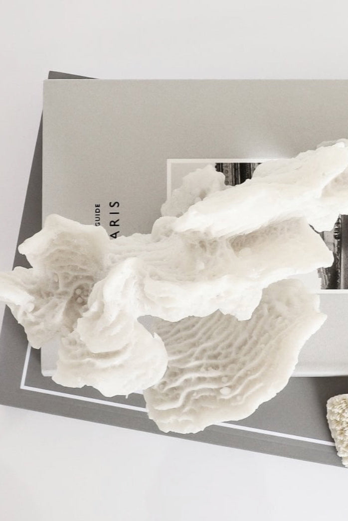 White lettuce leaf coral sculpture on a gray surface with a book underneath, Elm & Grey.