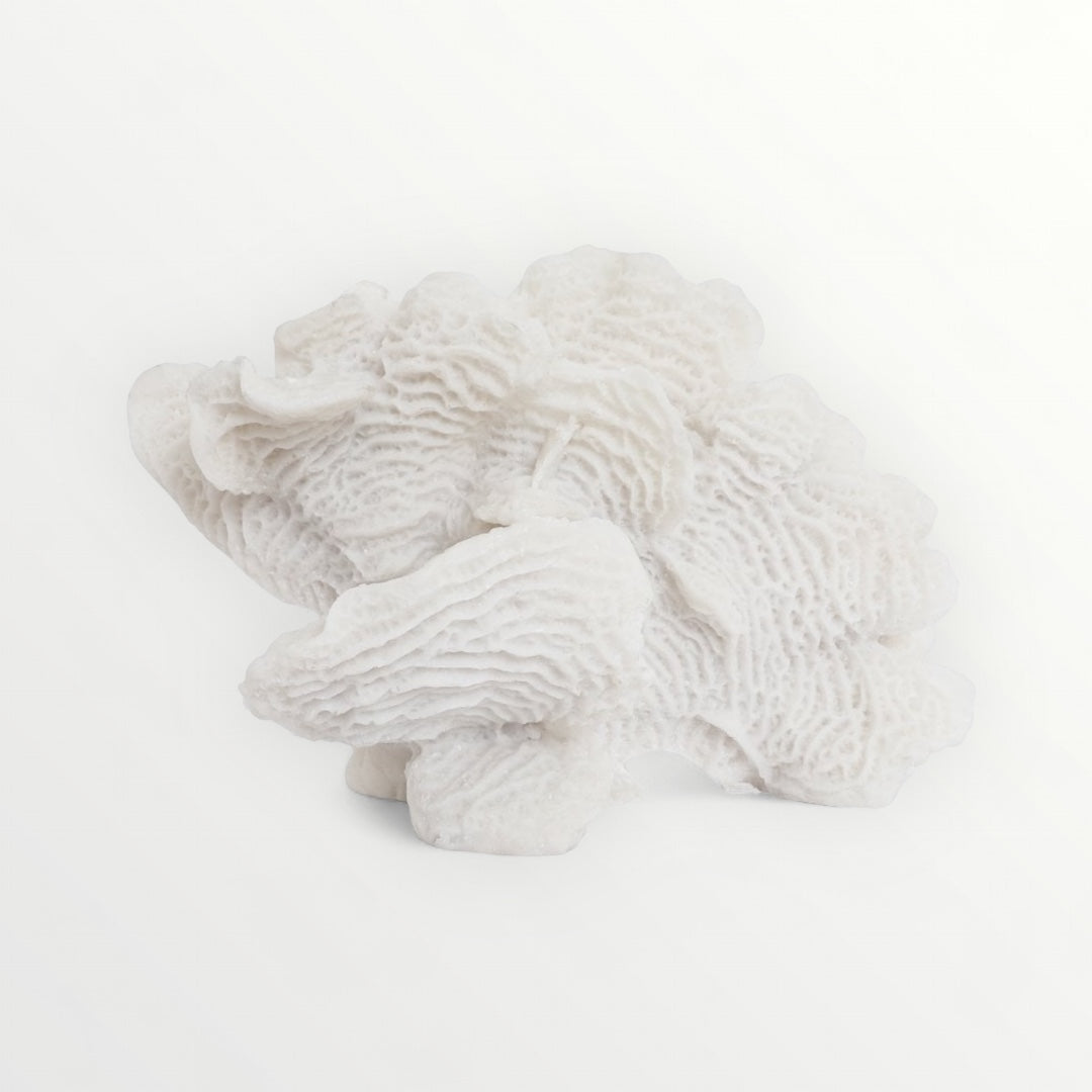 A medium-sized white lettuce coral sculpture made from polyresin, displayed on a plain background, Elm & Grey.