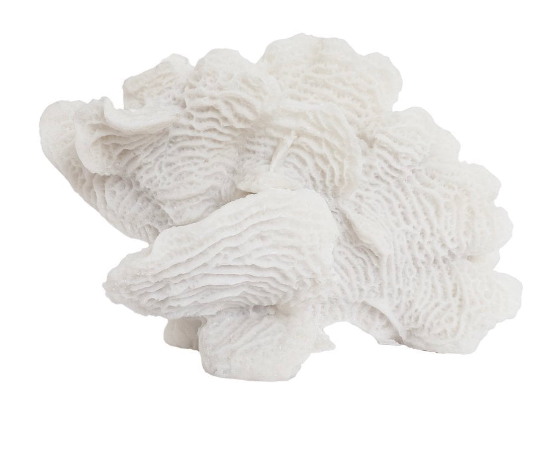 White lettuce leaf coral sculpture, Elm & Grey.