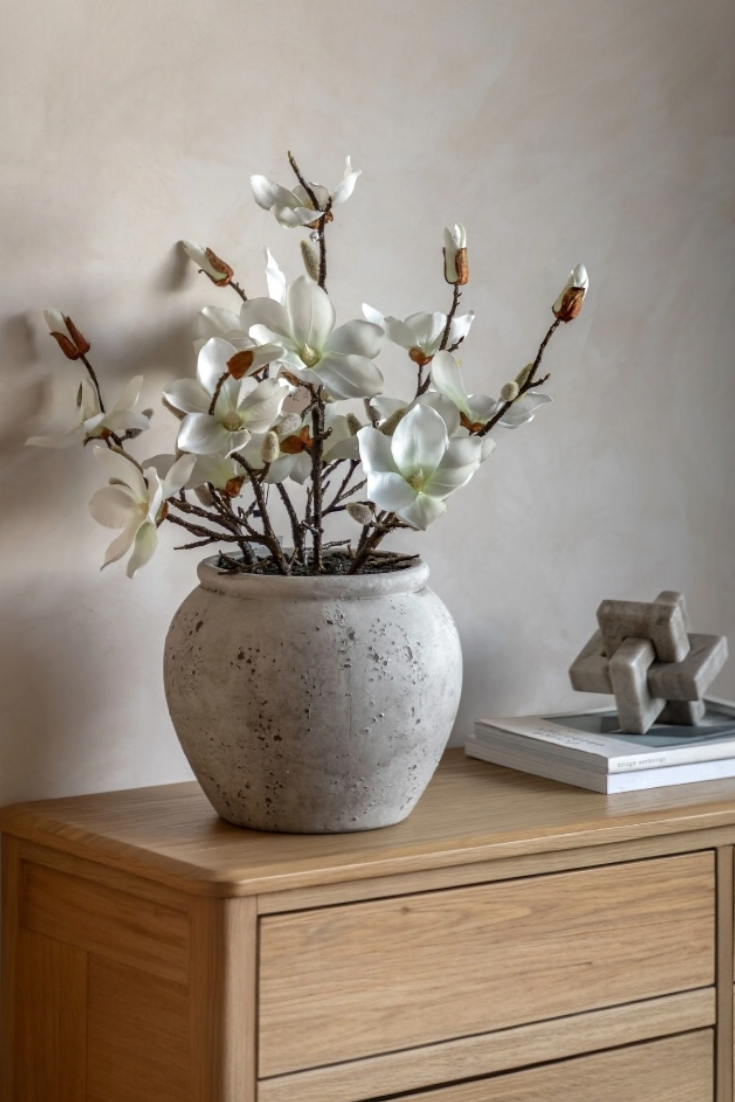 Potted plant on a wooden dresser with a neutral background