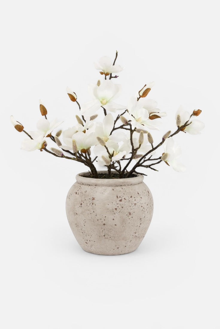 White artificial flowers in a textured beige pot on a white background