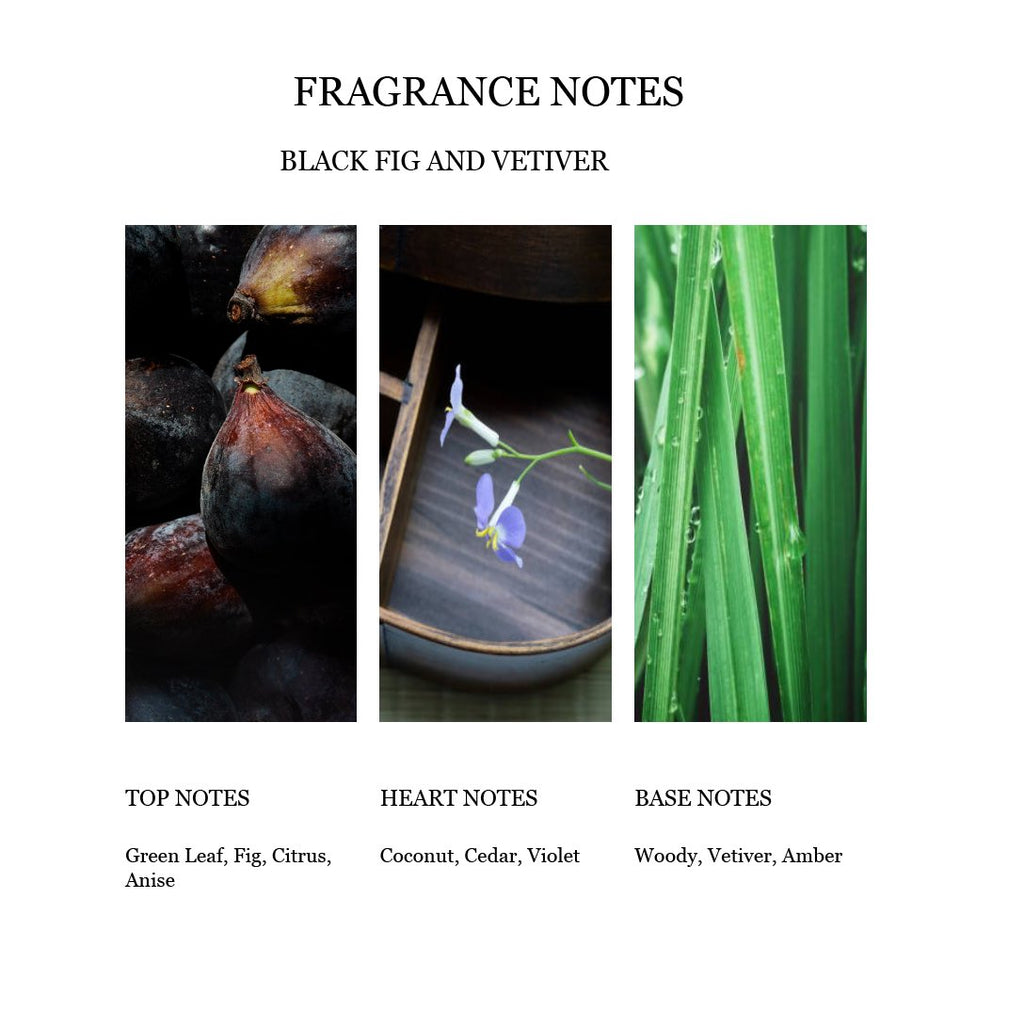 Black Fig and Vetiver Fragrance Notes Top Heart Base Notes