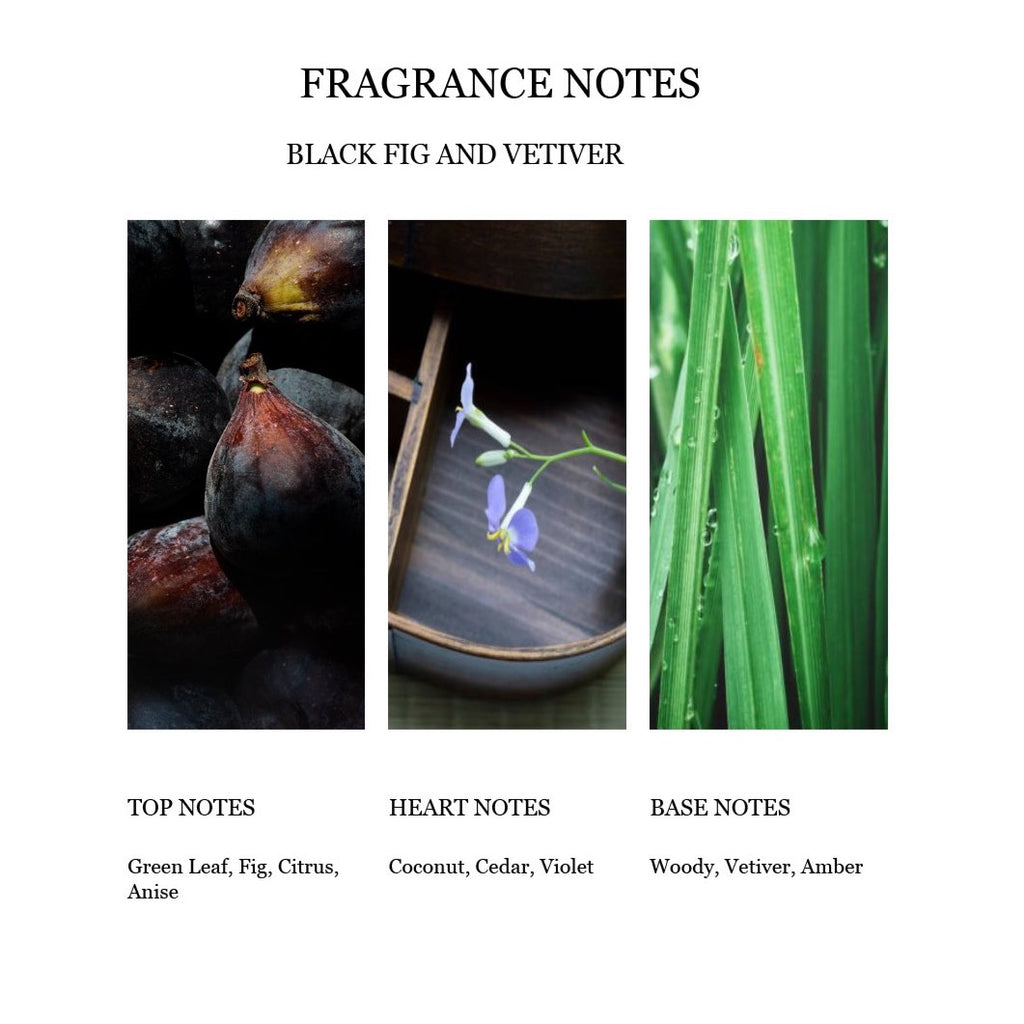 Black Fig and Vetiver Reed Diffuser