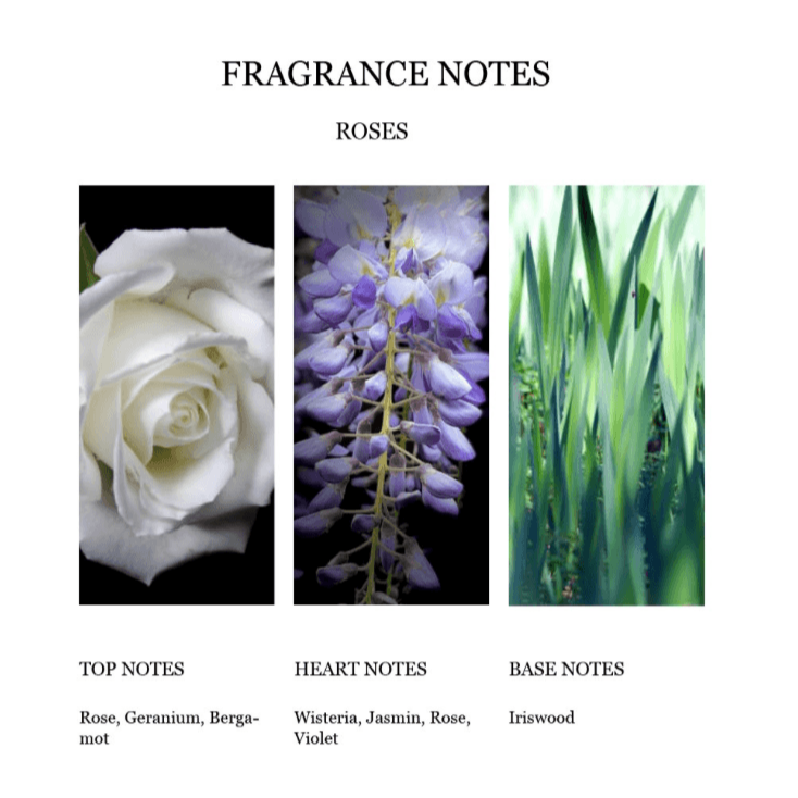 Fragrance Notes Rose bergamot Jasmine Top Heart Base Notes