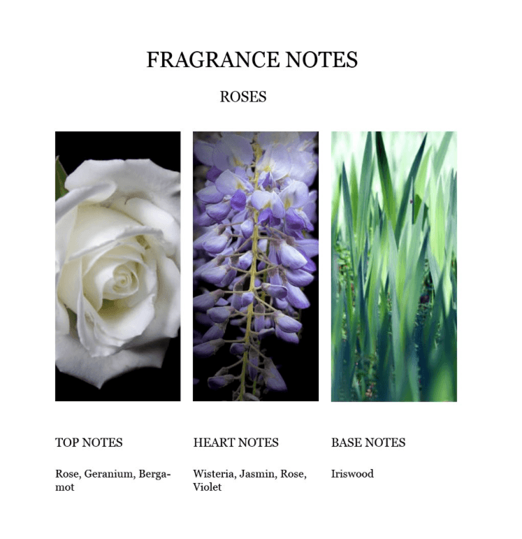 Fragrance Notes Rose Bergamot Jasmine Top Heart Base Notes