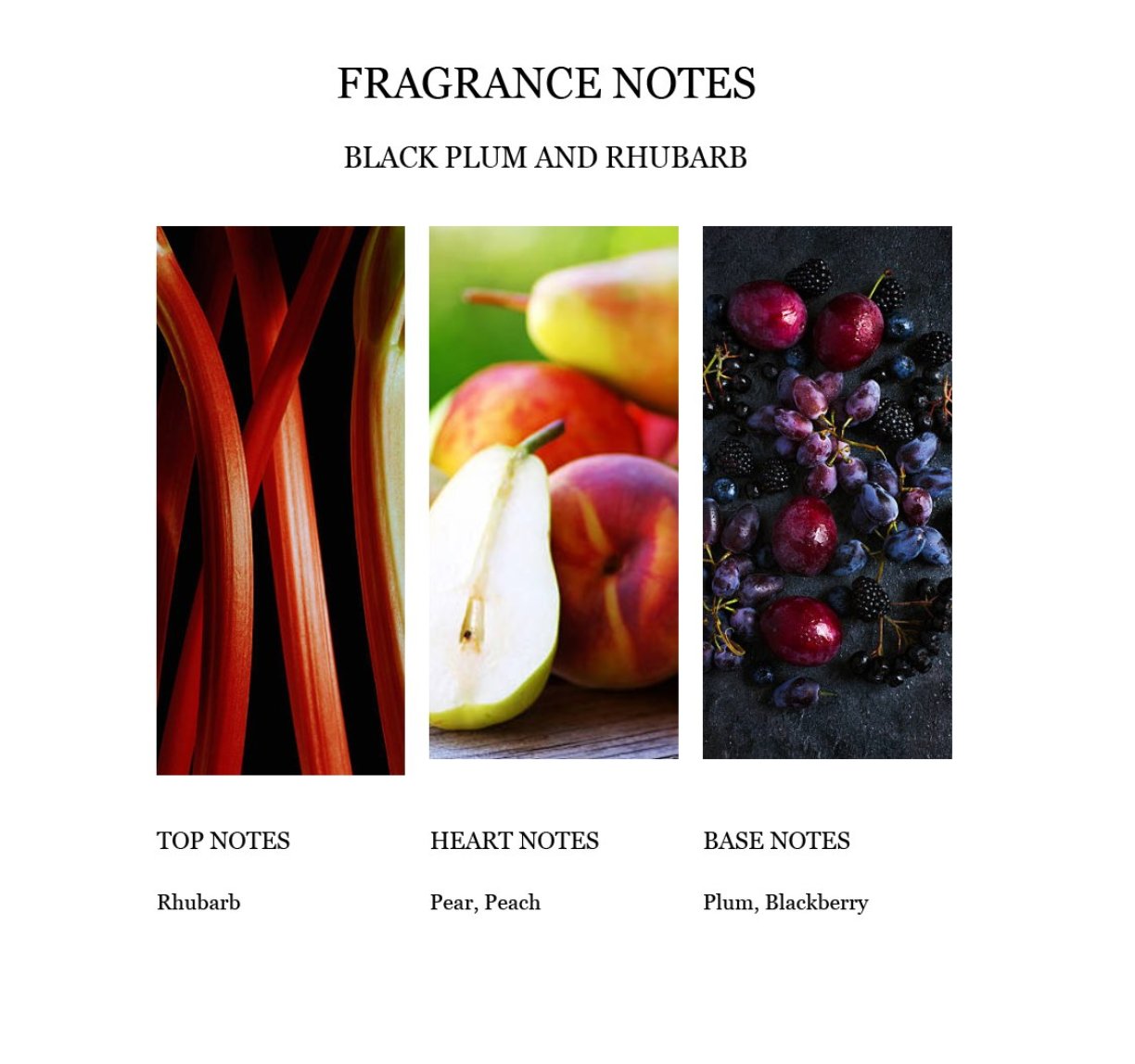 Black Plum and Rhubarb Fragrance Notes