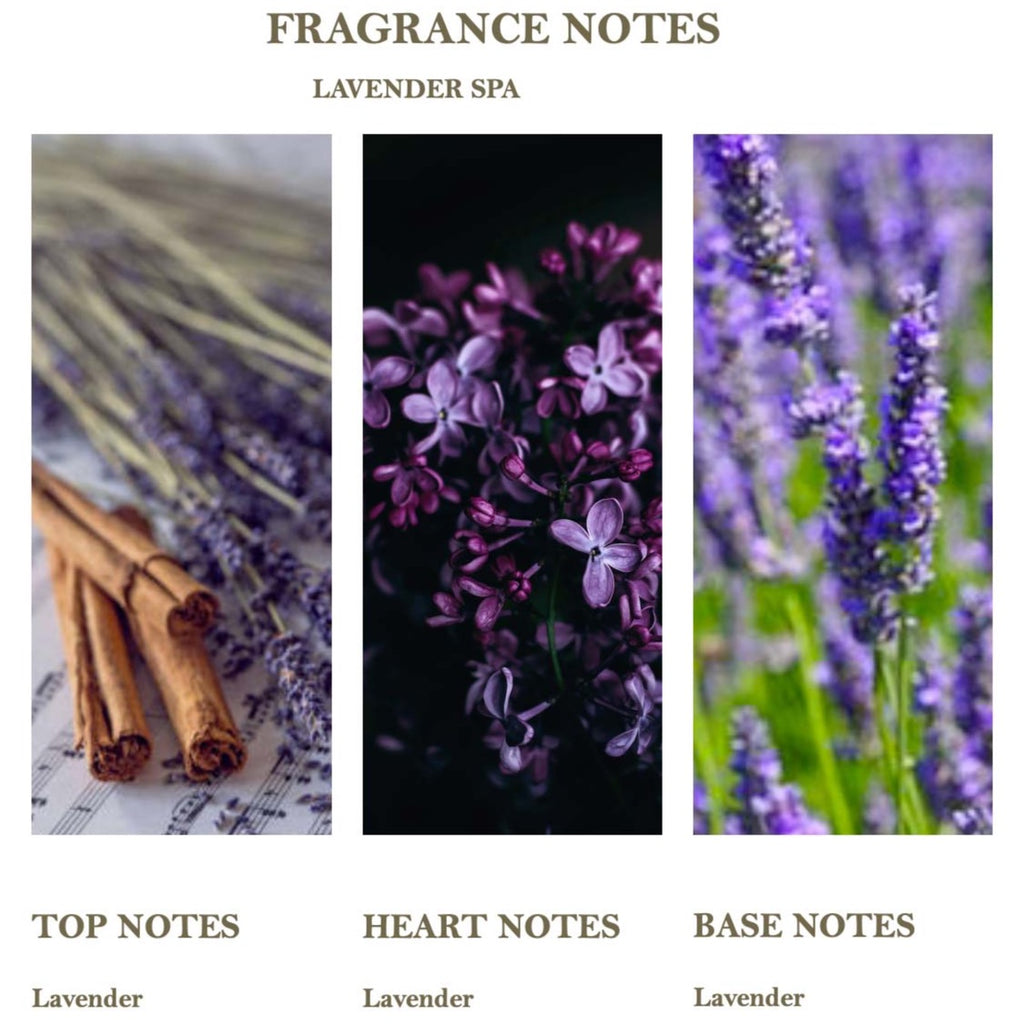 fragrance notes lavender spa top heart base