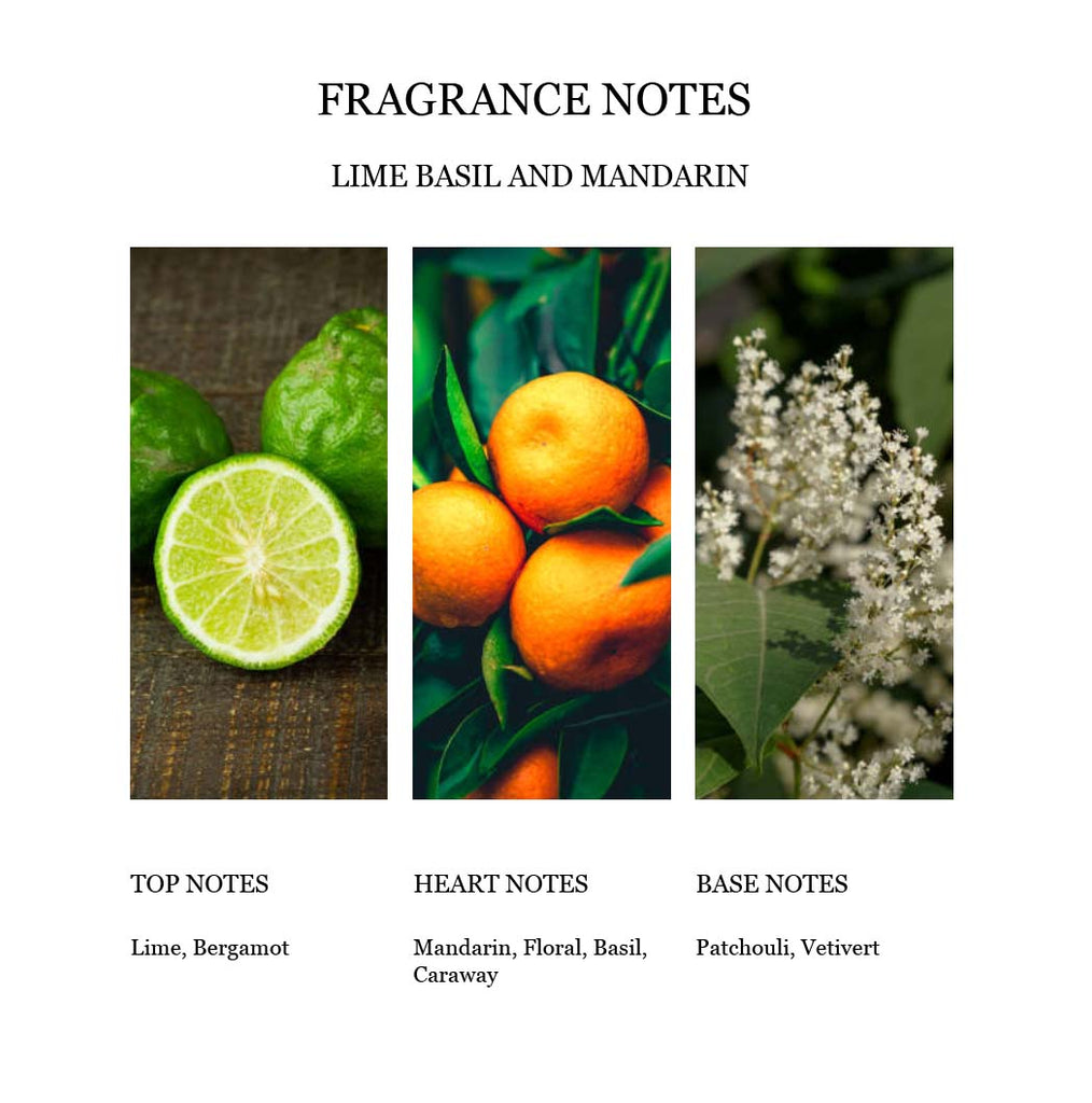 Fragrance Notes Lime Basil and Mandarin 