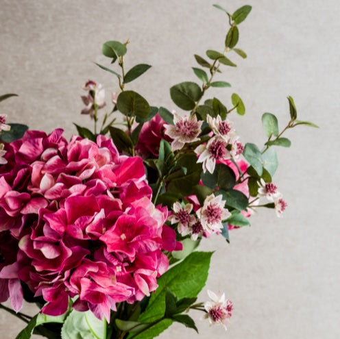 Hydrangea & Astrantia in Vase close up