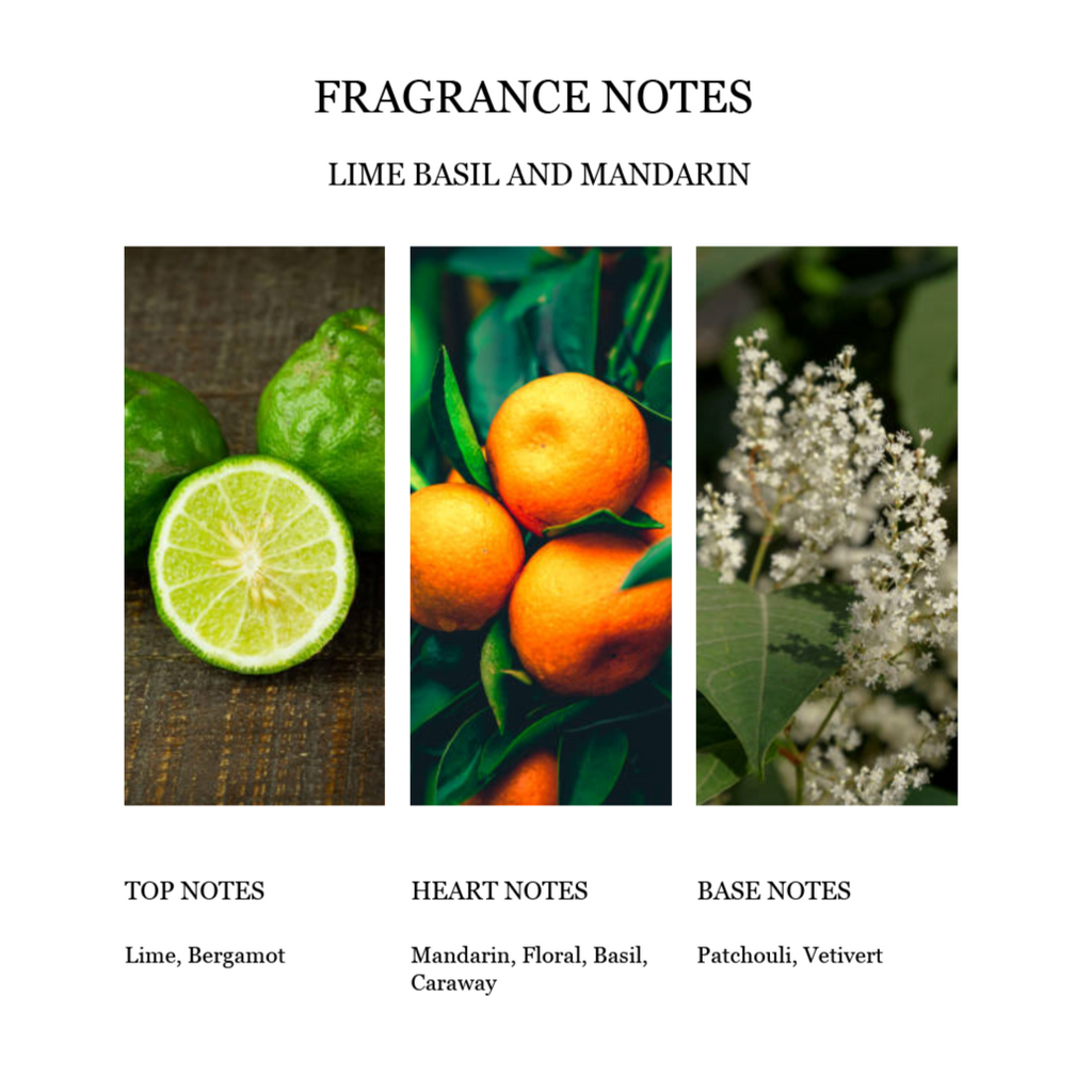 Fragrance Notes Lime Basil Mandarin Top Heart Base Notes