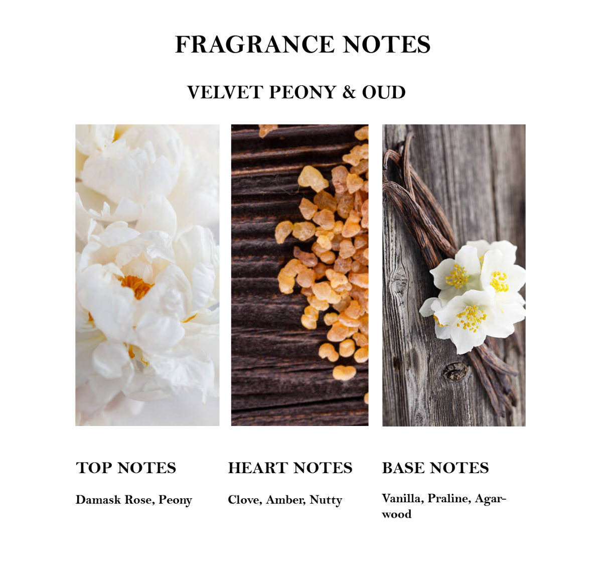 Fragrance notes for velvet peony and oud