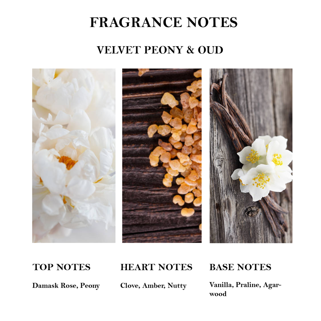 Velvet peony Fragrance Notes