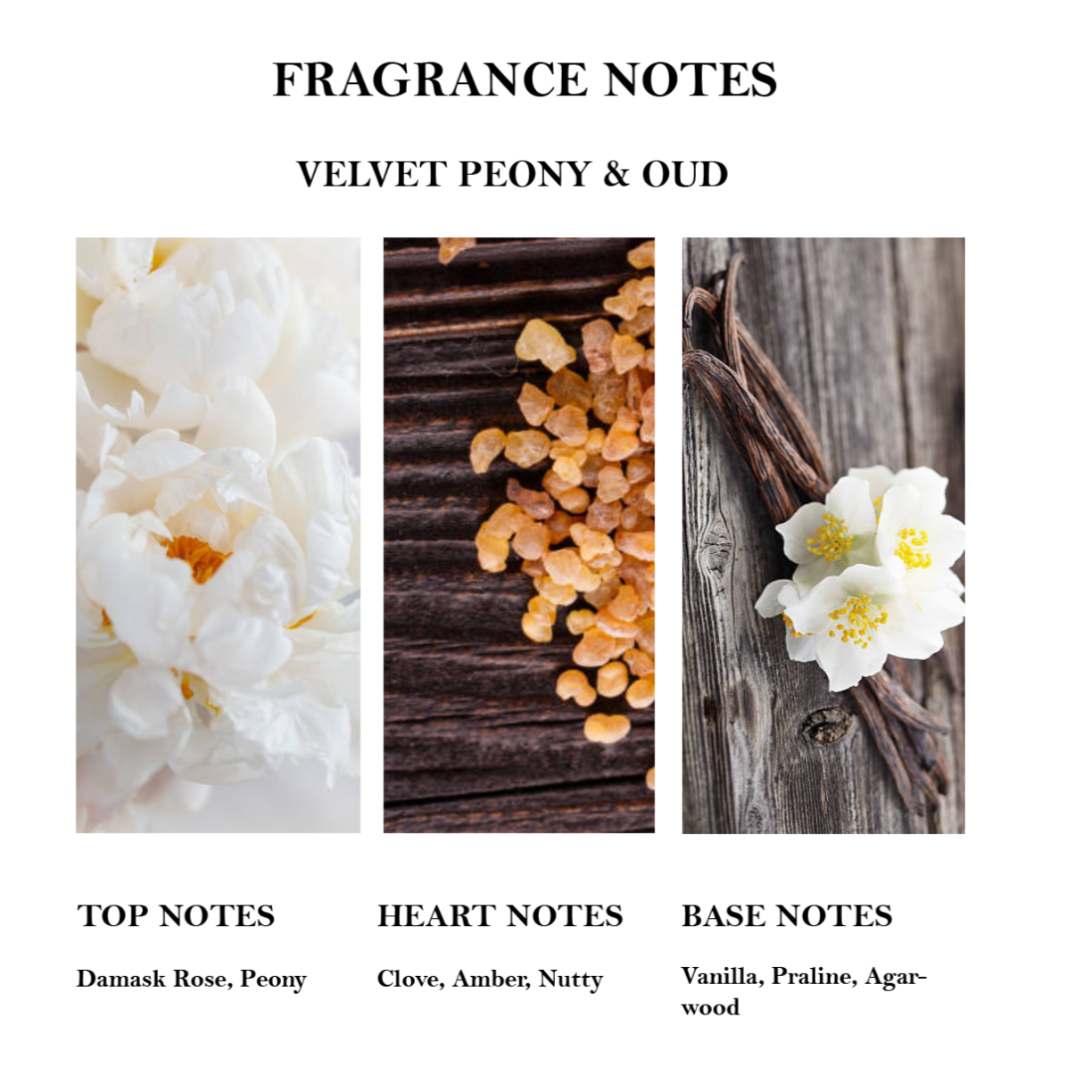 Velvet Peony Oud fragrnace Notes