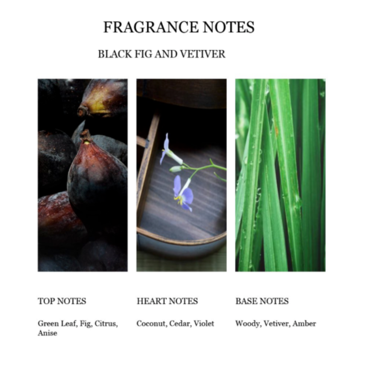 Fragrance Notes Black Fig Vetiver